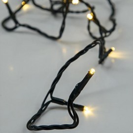 Line of 20 Led with Battery M/F Green cable Warm 