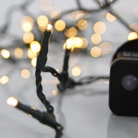 Line of 100 Led M/F Green cable Warm 